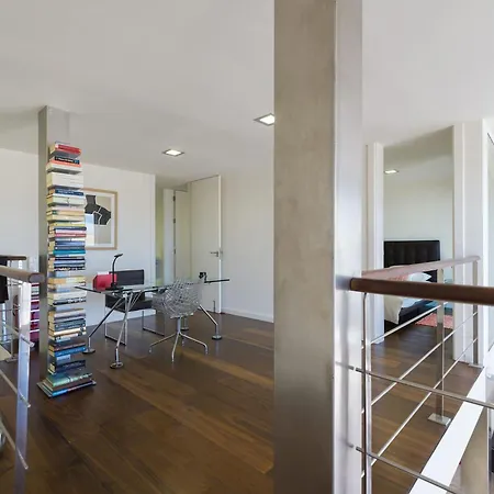 فيلة Oasis ماسبالوماس